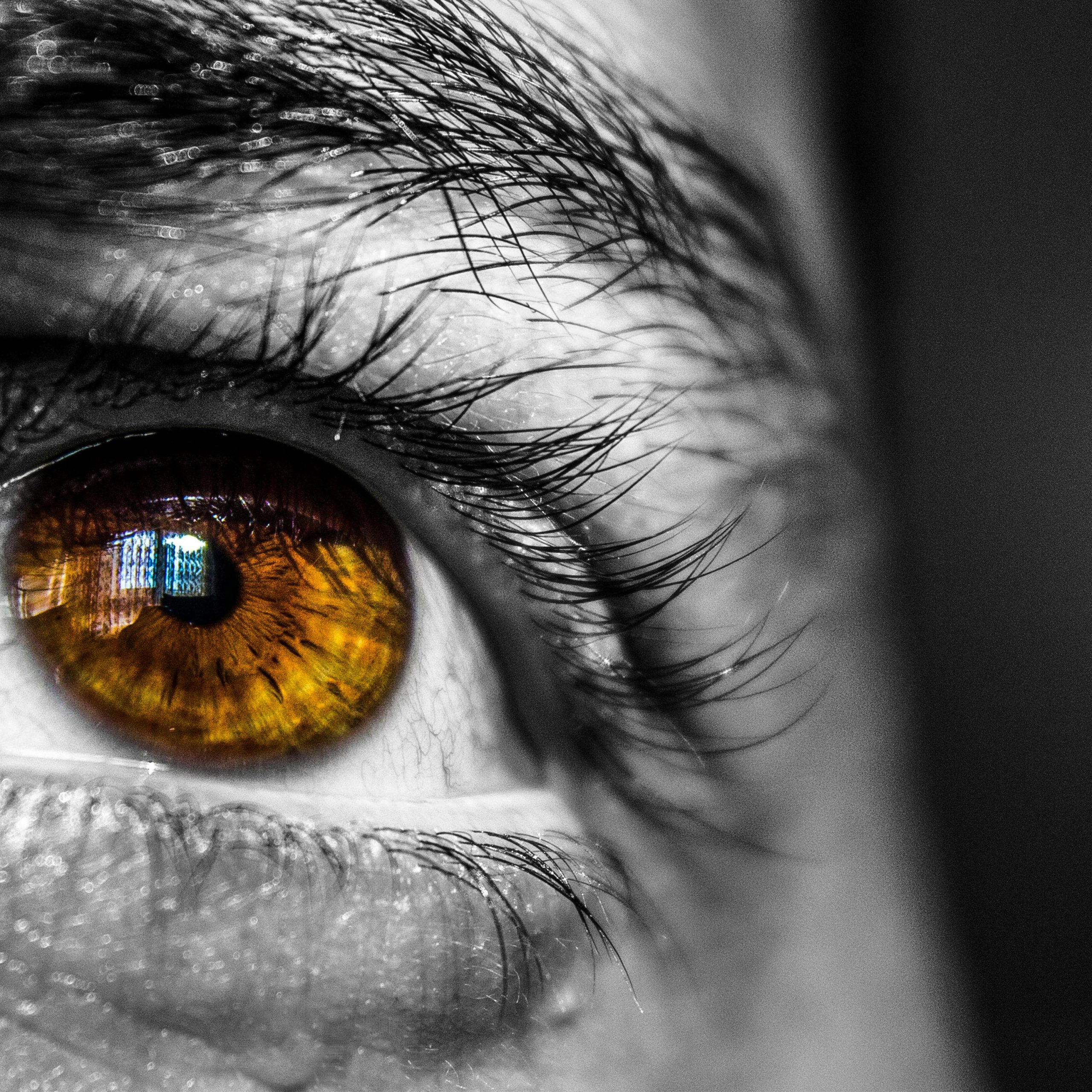 amber alchemist mood